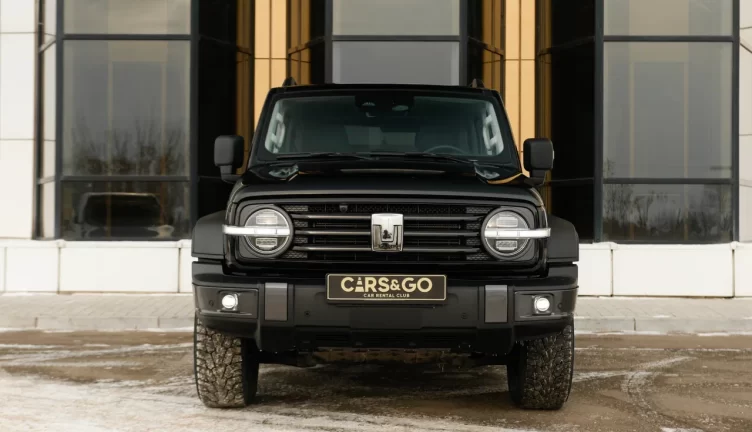 Tank 300
